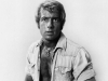 Wrangler_Icon (121)